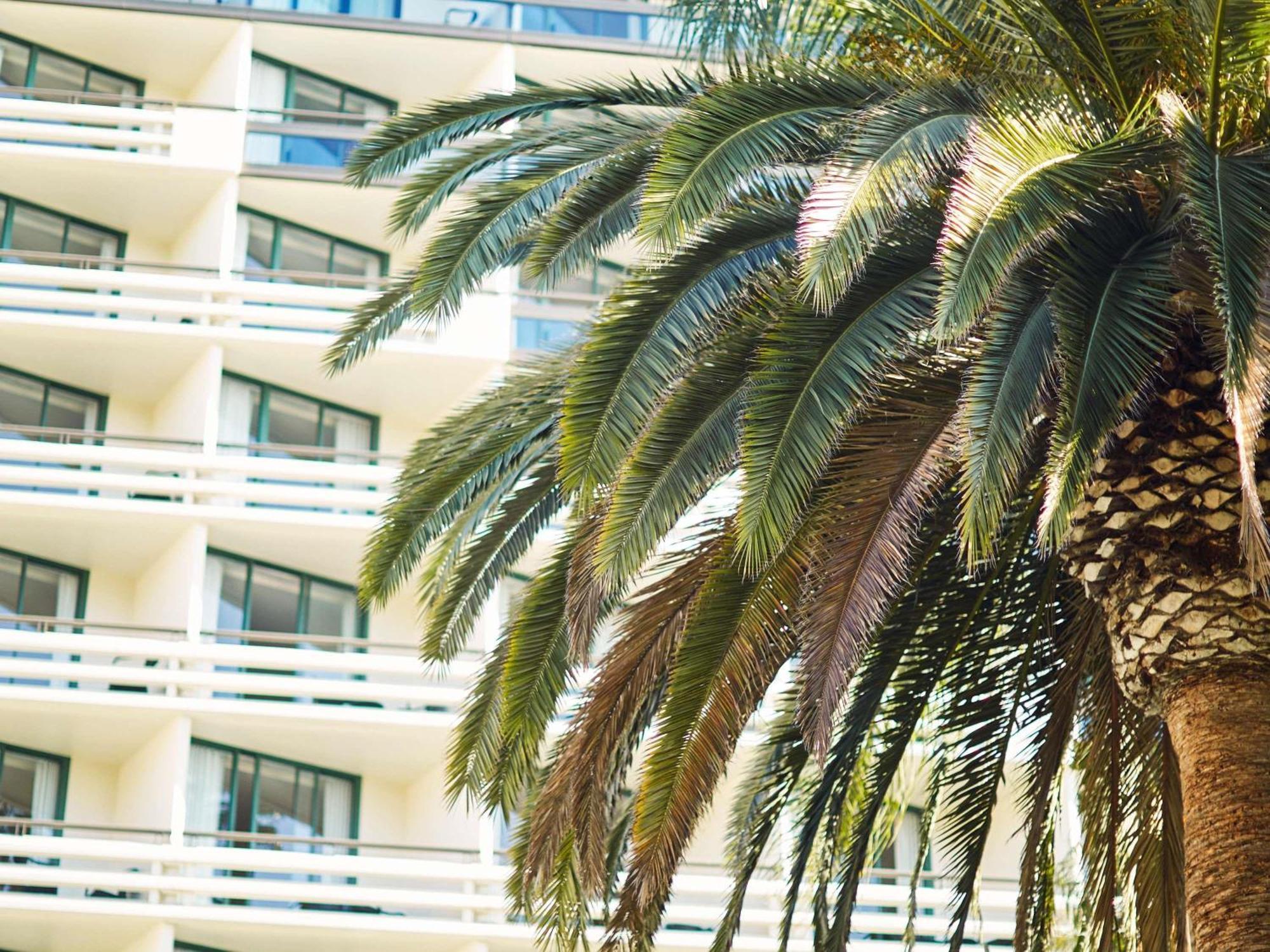 Suite King Tower con Doccia Disabili - Accesso Ipoudenti